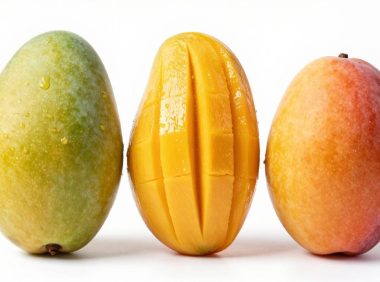 攀枝花芒果性价比最高的品种排行:凯特、金煌、贵妃怎么选