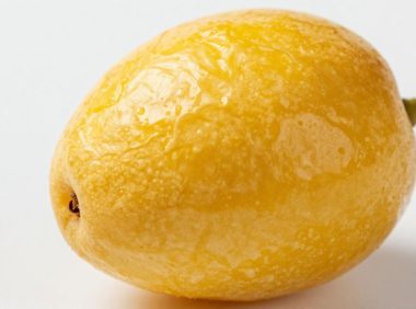 黄皮果买回来怎么保存不会干?