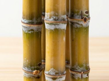 甘蔗买一整根回家怎么保存?甘蔗的保存要点