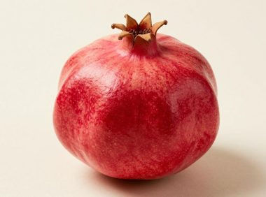 石榴里面发现白色虫子怎么处理？防止虫害的预防措施