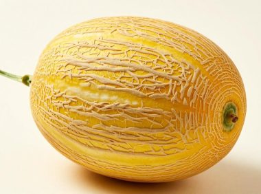 哈密瓜买回来能放多久不会坏？