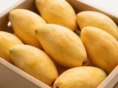 买了一箱芒果怎么防止烂掉？