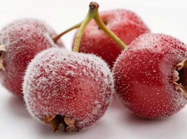 山楂长白毛了还能吃吗？山楂长白毛的原因？