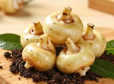 马蹄发芽了还能不能吃？预防马蹄发芽的技巧