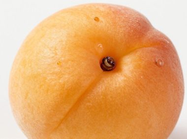 杏子里面有虫眼还能不能吃？如何处理有虫眼的杏子？