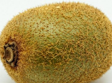 猕猴桃中间发黄是不是坏了？