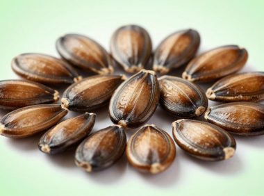 西瓜籽不小心吞下去会怎样？西瓜籽的成分与安全性