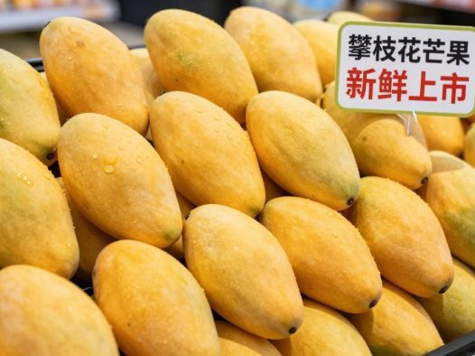 攀枝花芒果超市为什么卖那么贵?这3个成本你想不到