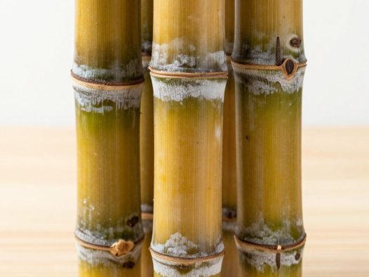 甘蔗买一整根回家怎么保存?甘蔗的保存要点