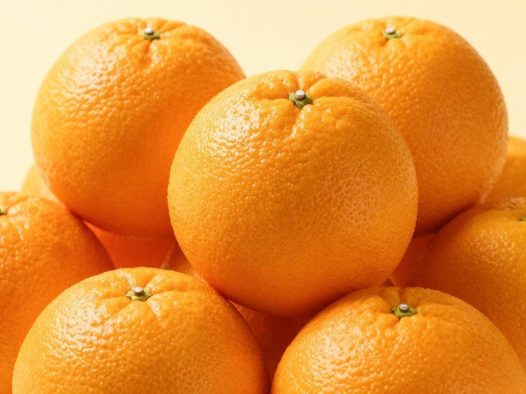 橙子买多少不会坏得太快？