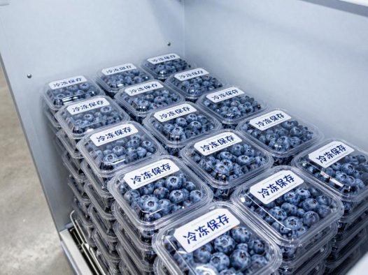 蓝莓买多了怎么冻起来保存？