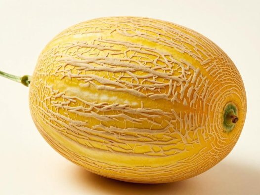 哈密瓜买回来能放多久不会坏？