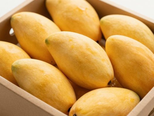 买了一箱芒果怎么防止烂掉？