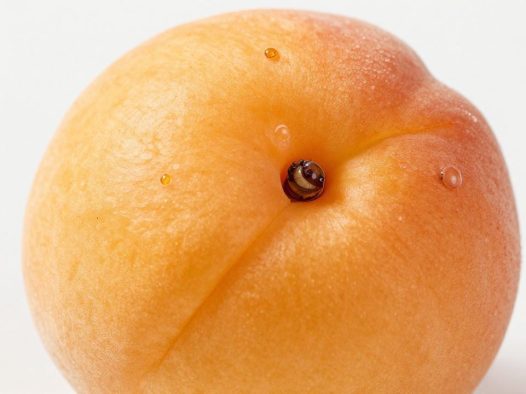 杏子里面有虫眼还能不能吃？如何处理有虫眼的杏子？